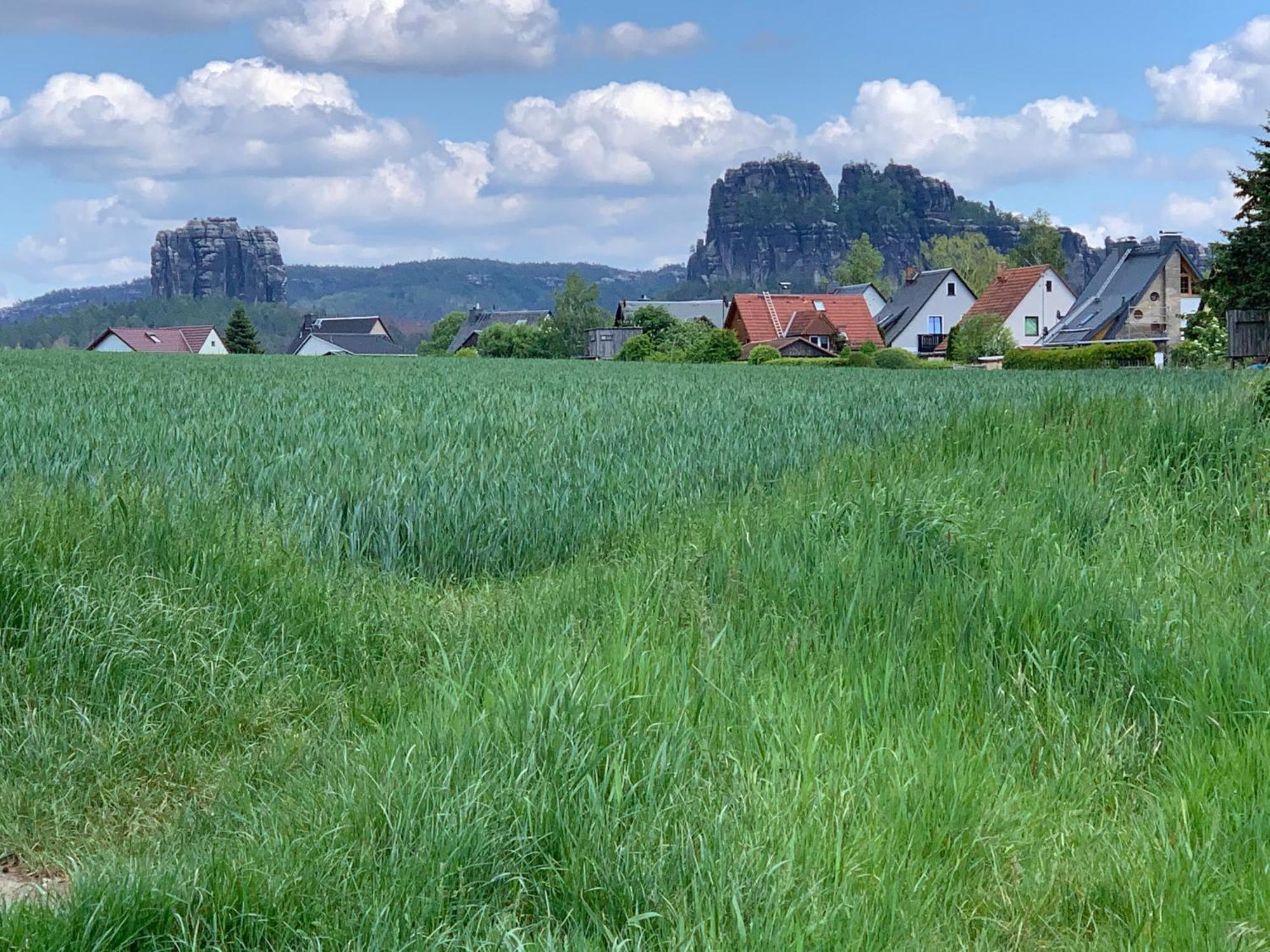 Gasthof Zur Hoffnung Hinterhermsdorf Bagian luar foto